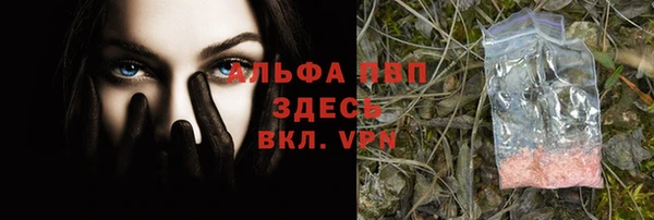 стафф Майский
