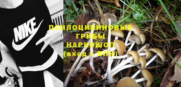 стафф Майский