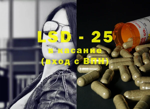 стафф Майский