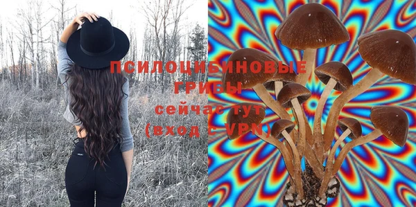 спайс Магадан