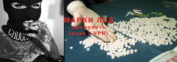 стафф Майский