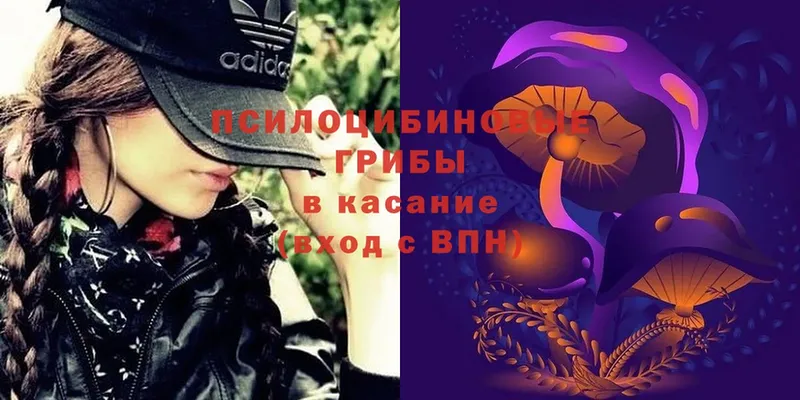 Псилоцибиновые грибы MAGIC MUSHROOMS  Заволжск 